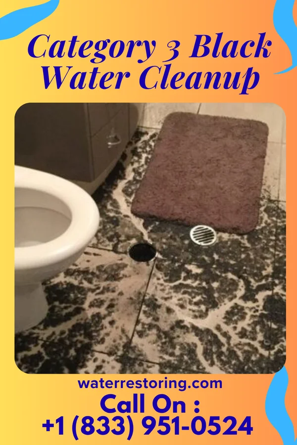 Category 3 Black Water Cleanup in Myers Corner, NY