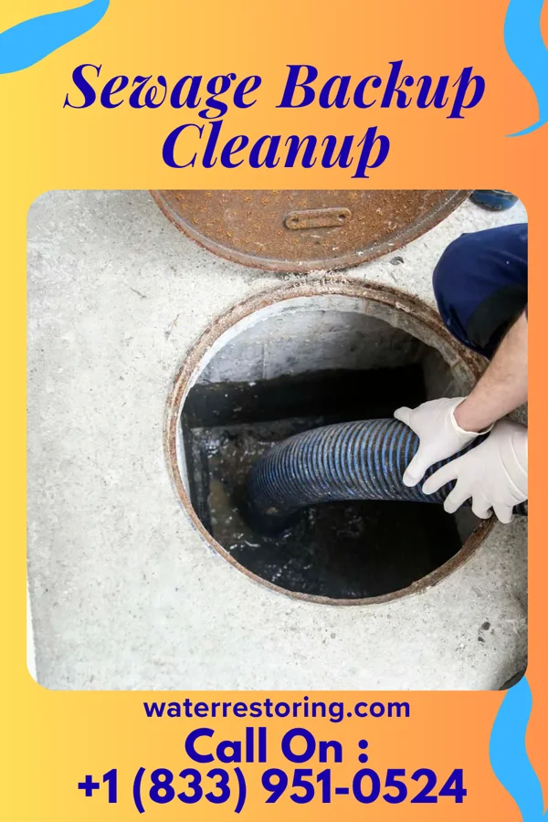 Sewage Backup Cleanup in Myers Corner, NY