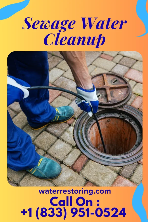 Sewage Water Cleanup in Myers Corner, NY
