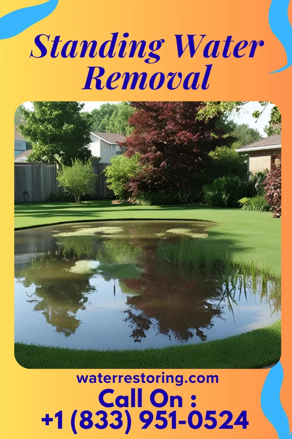 Standing Water Removal in Myers Corner, NY